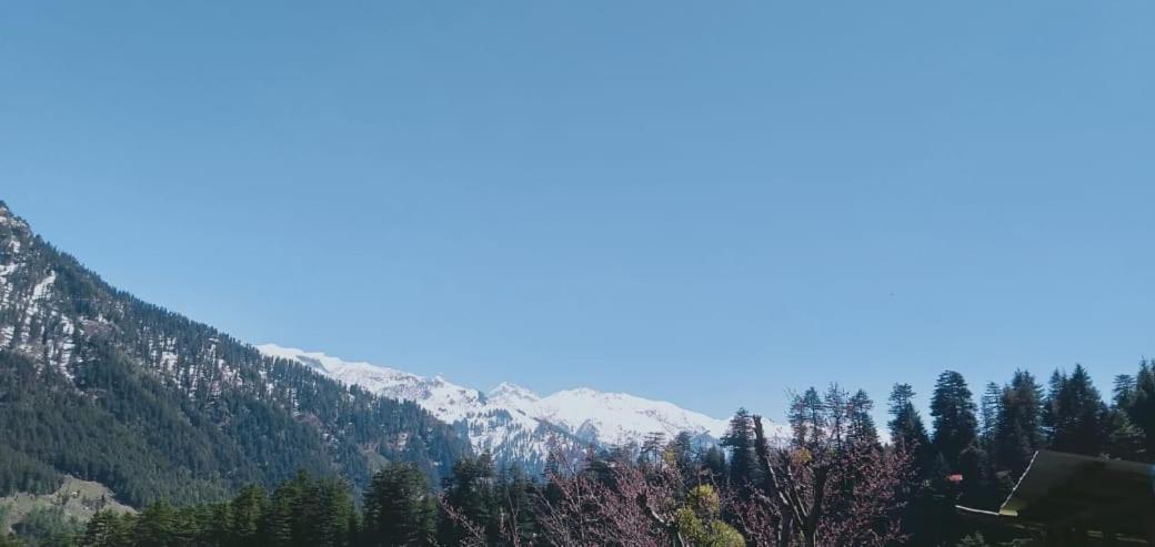 Maha Mountain Home And Cafe Manali  Bagian luar foto